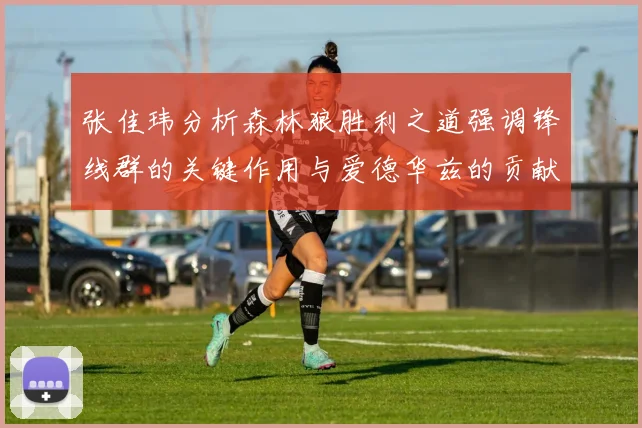 张佳玮分析森林狼胜利之道强调锋线群的关键作用与爱德华兹的贡献