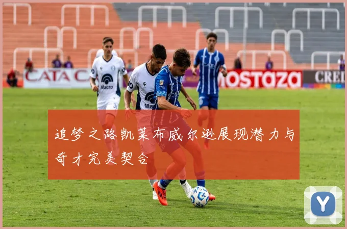 追梦之路凯莱布威尔逊展现潜力与奇才完美契合